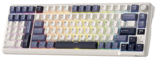 Royal Kludge RK L98