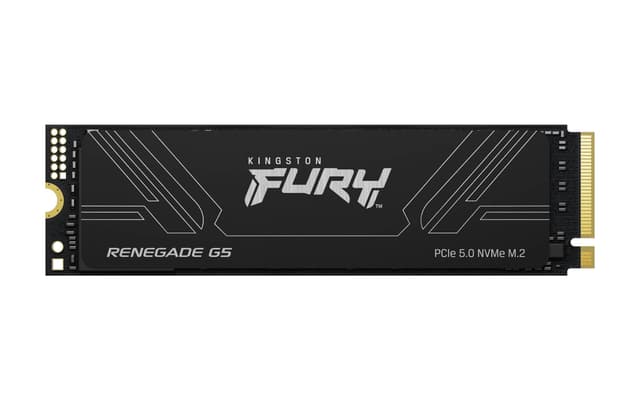 Kingston FURY Renegade G5 4 TB (SFYR2S/4T0)