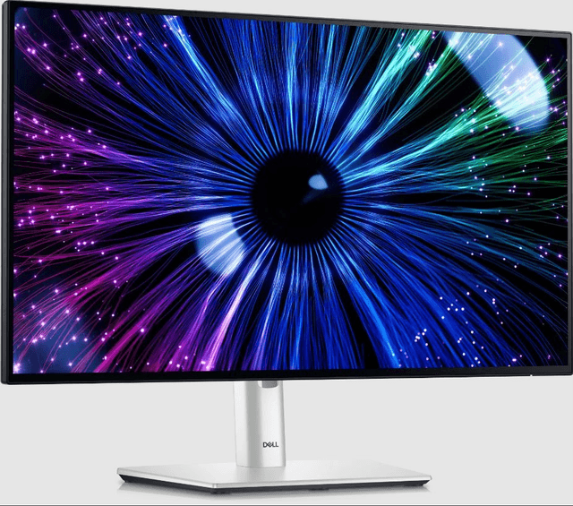 Dell UltraSharp U2424HE [210-BKRY]