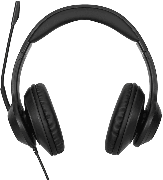 Targus Wired Stereo Headset (AEH102TT)