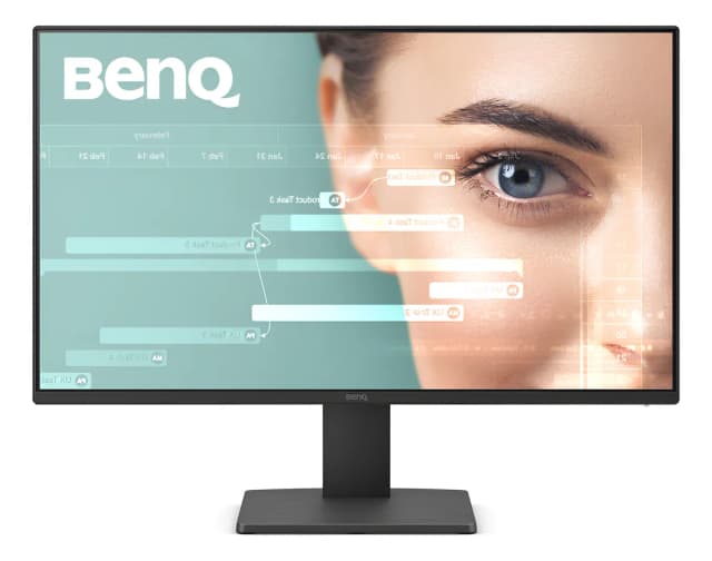 BenQ GW2491