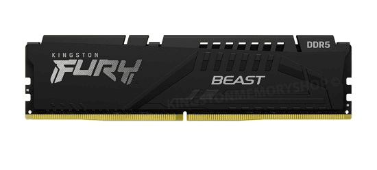 Kingston Fury Beast KF552C40BB-32 (1 x 32GB | DIMM DDR5-5200)